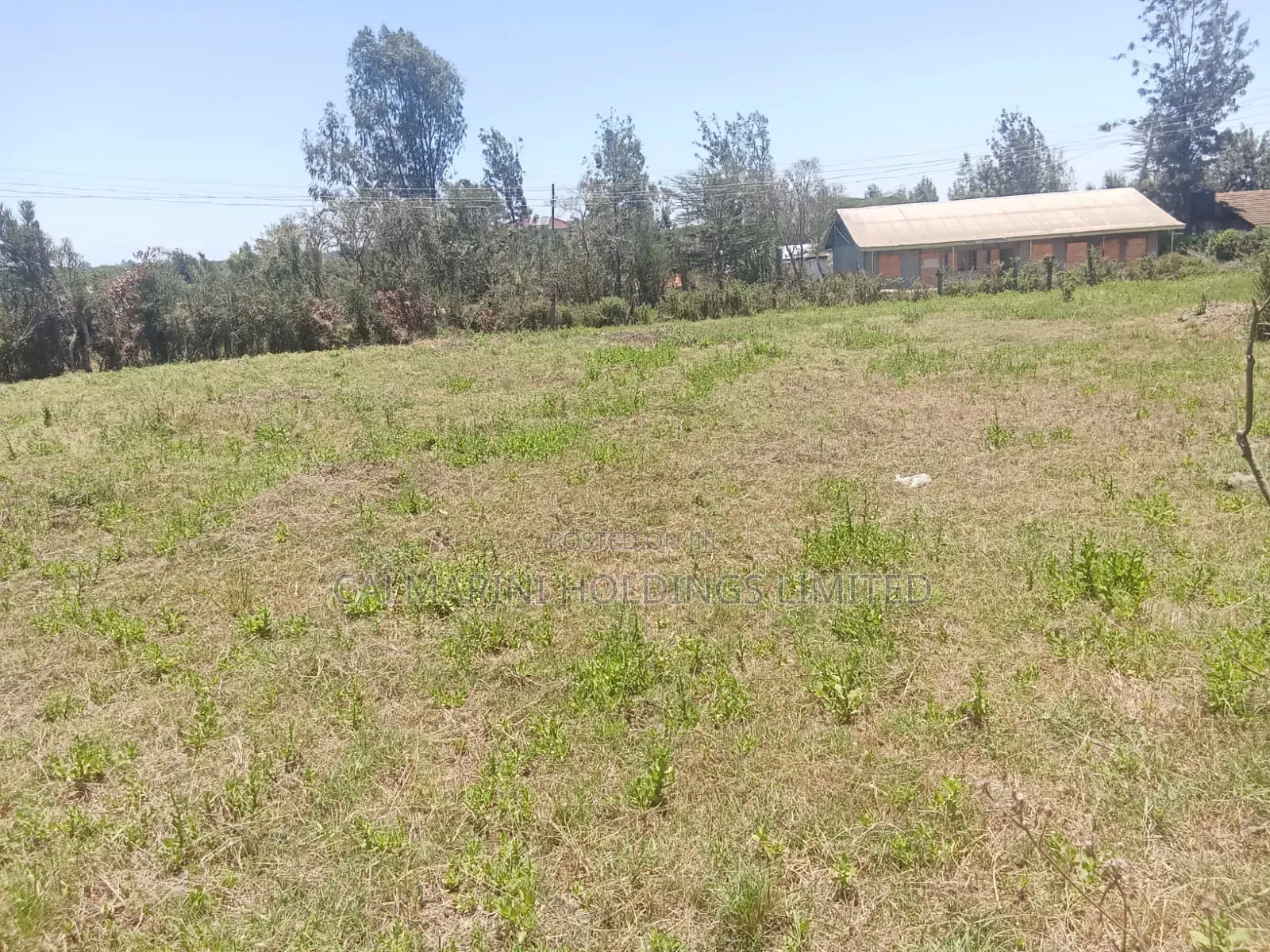 Prime Half + Eighth Acre Touching Tarmac in Matasia Ngong in Matasia