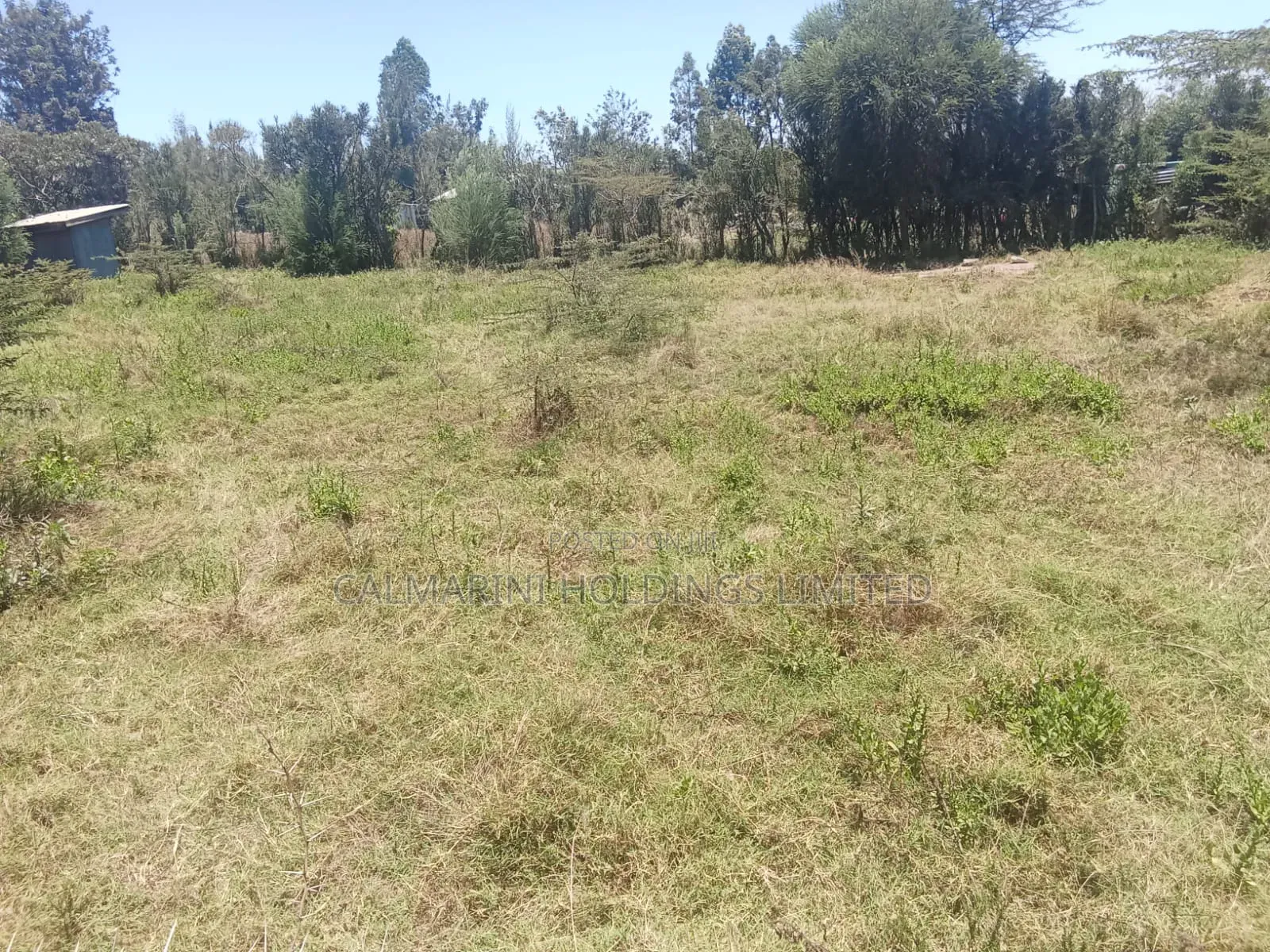 Prime Half + Eighth Acre Touching Tarmac in Matasia Ngong in Matasia