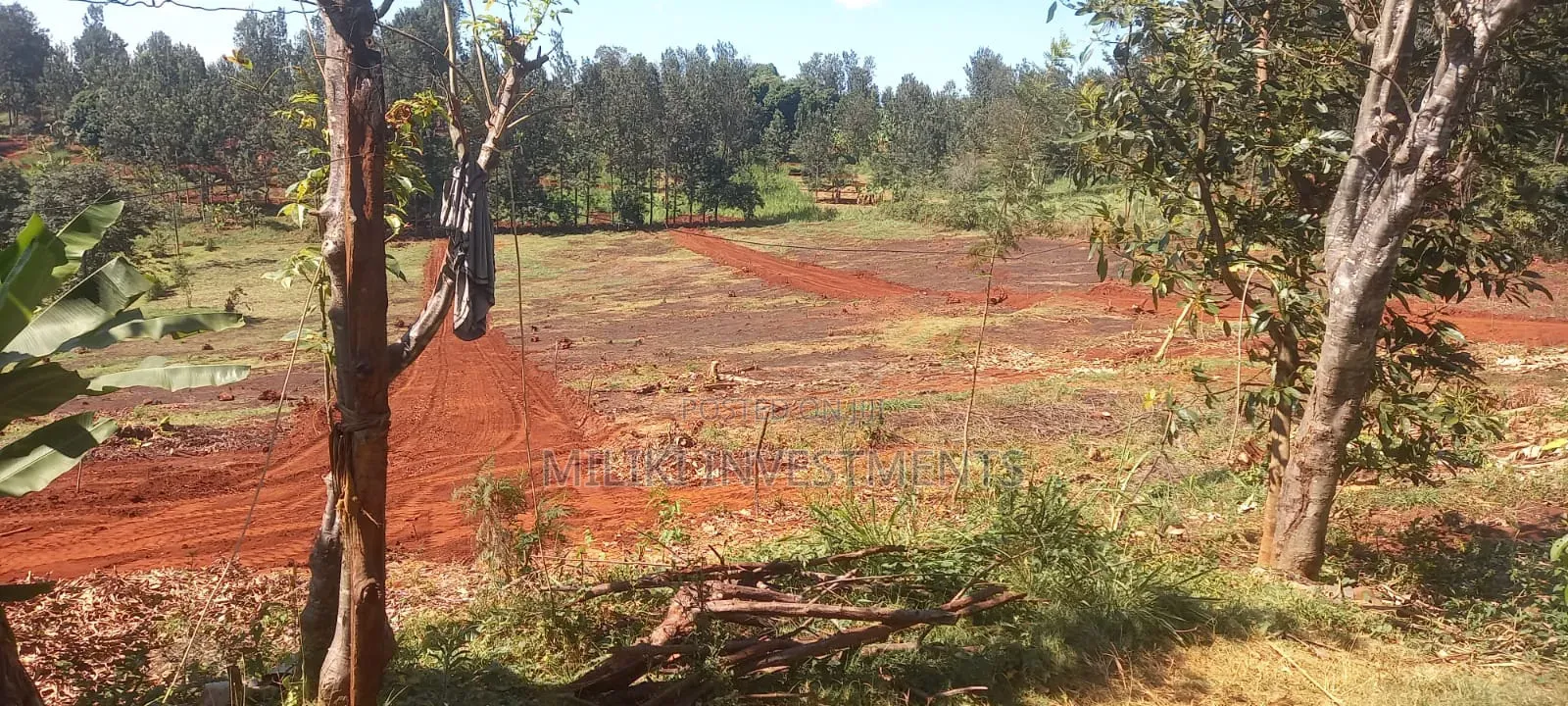 50 by 100 Plots on Sale at Murang'a Embassy in Gitugi