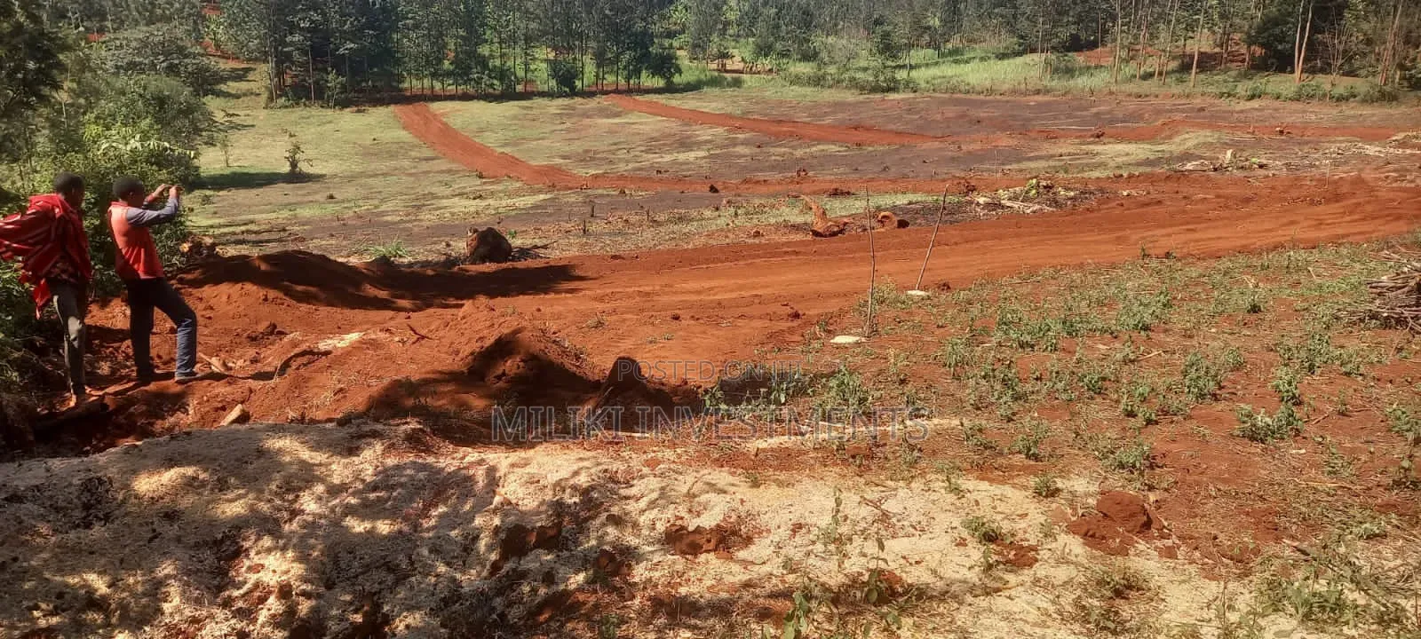 50 by 100 Plots on Sale at Murang'a Embassy in Gitugi