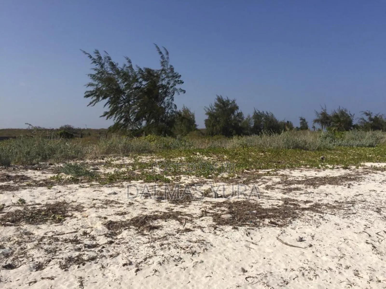 2.5 Acres Land at Mayungu in Watamu in Watamu