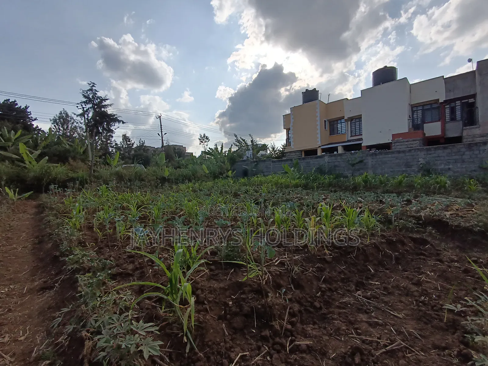 1/2 Acre Plot for Sale in Ghorofani, Kasarani in Kasarani