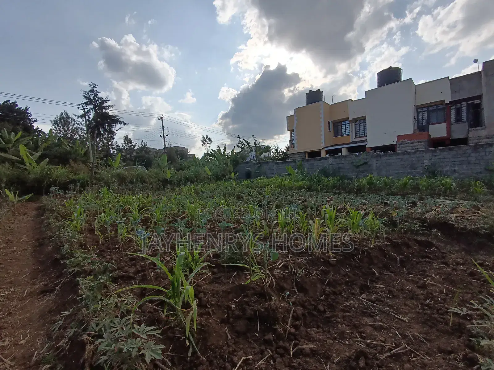 1/2 Acre Plot for Sale in Ghorofani, Kasarani in Kasarani