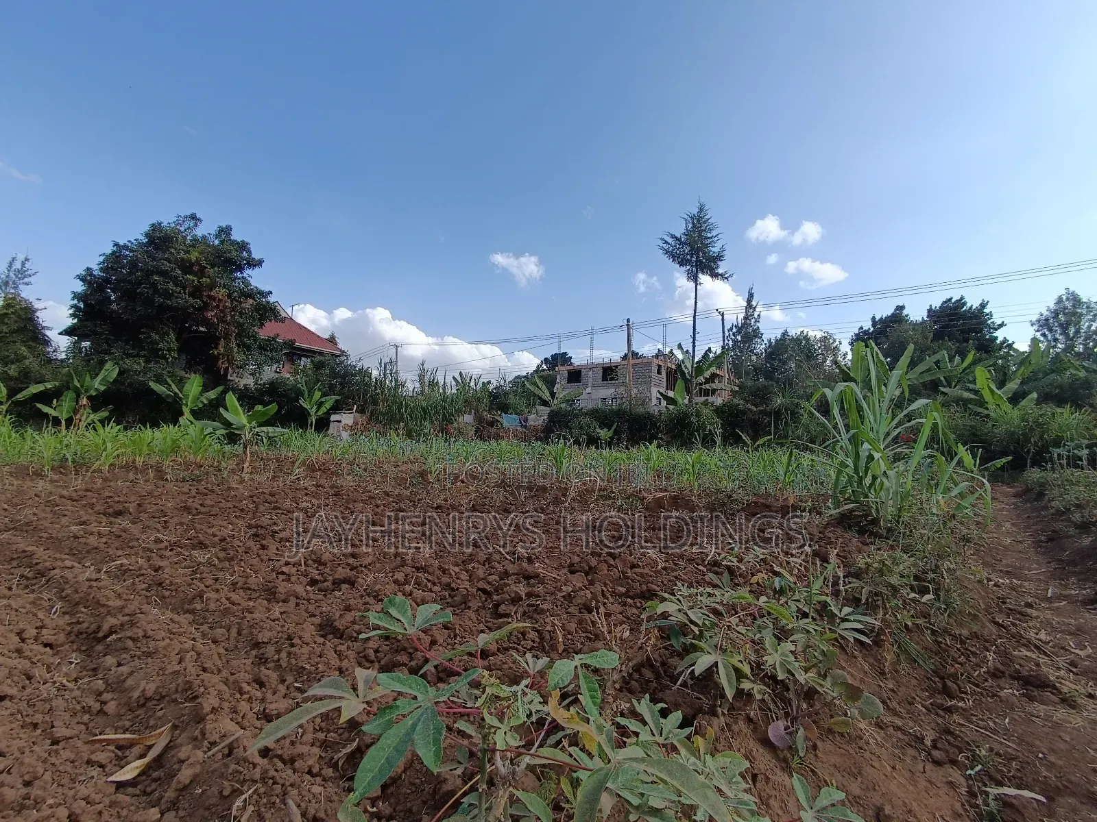 1/2 Acre Plot for Sale in Ghorofani, Kasarani in Kasarani