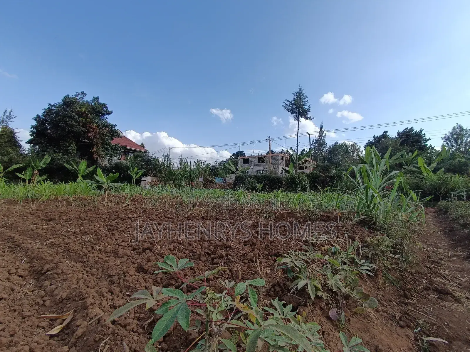 1/2 Acre Plot for Sale in Ghorofani, Kasarani in Kasarani