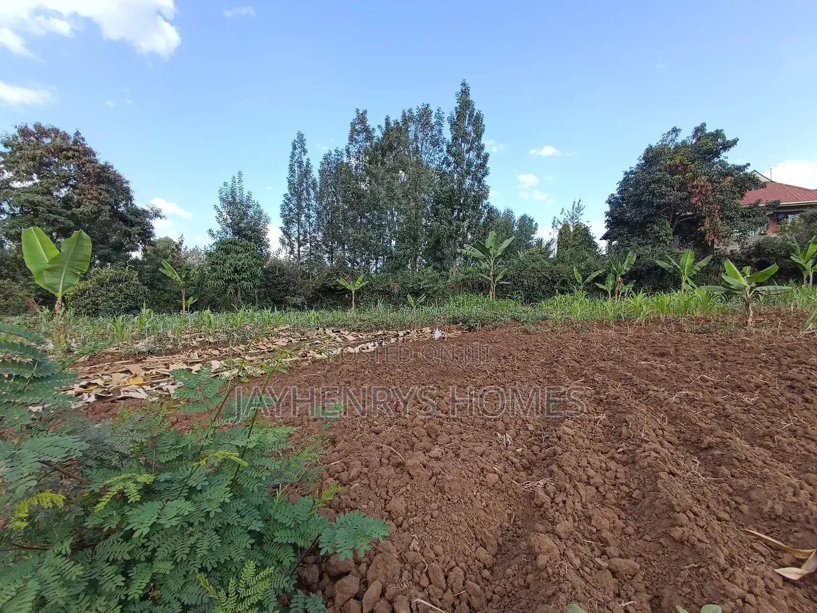 1/2 Acre Plot for Sale in Ghorofani, Kasarani in Kasarani