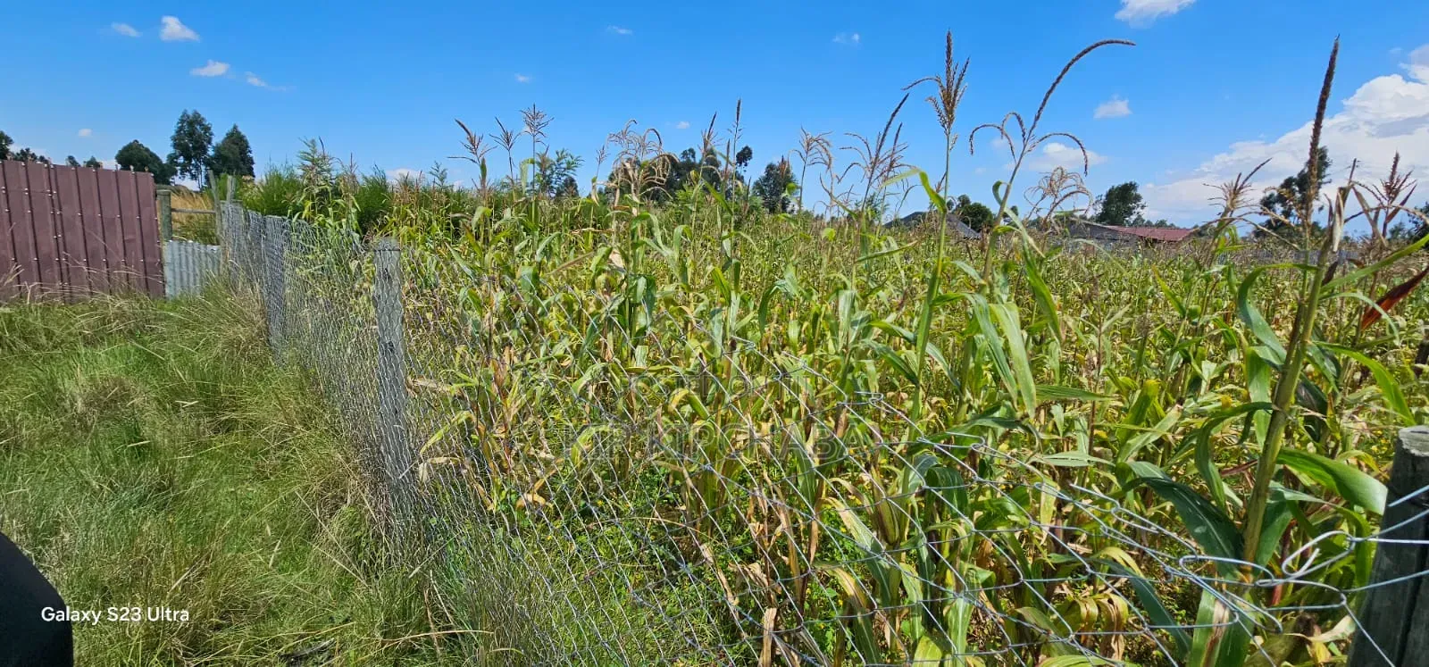 Prime Plot for Sale in Kuinet Eldoret in Kuinet