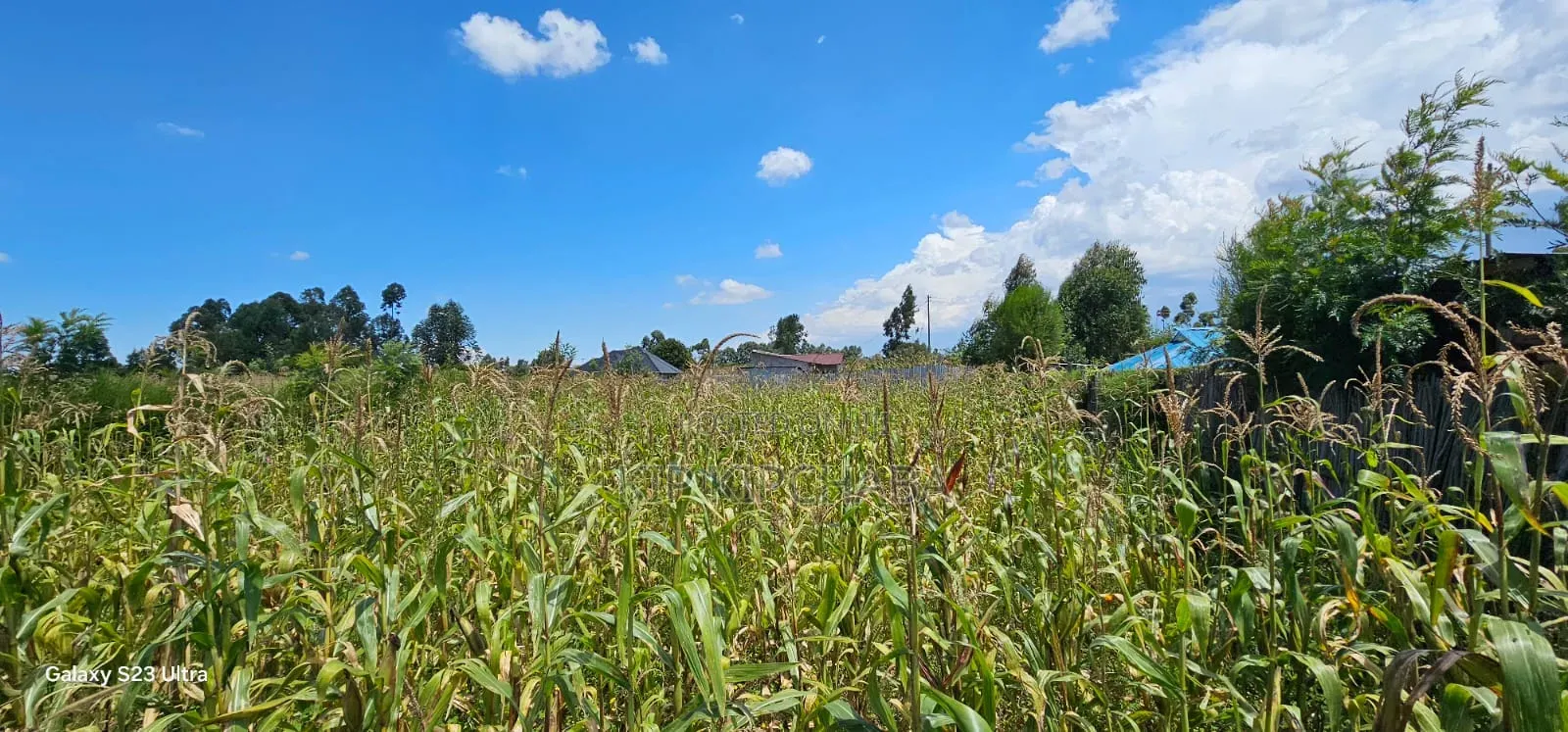 Prime Plot for Sale in Kuinet Eldoret in Kuinet