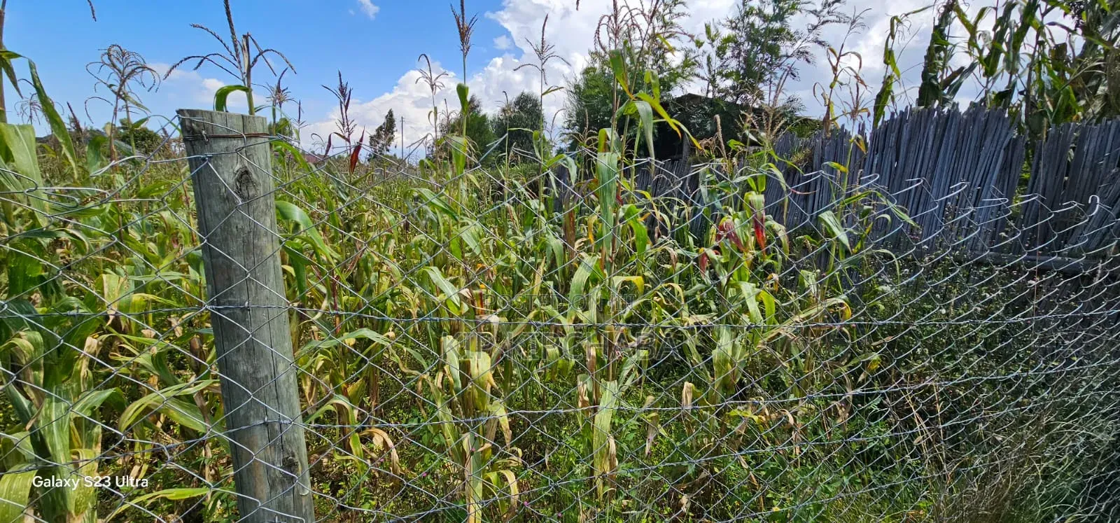 Prime Plot for Sale in Kuinet Eldoret in Kuinet