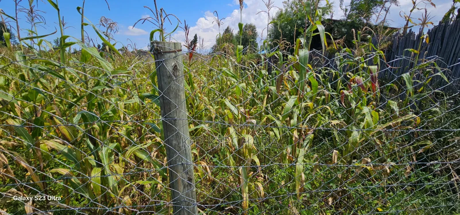 Prime Plot for Sale in Kuinet Eldoret in Kuinet
