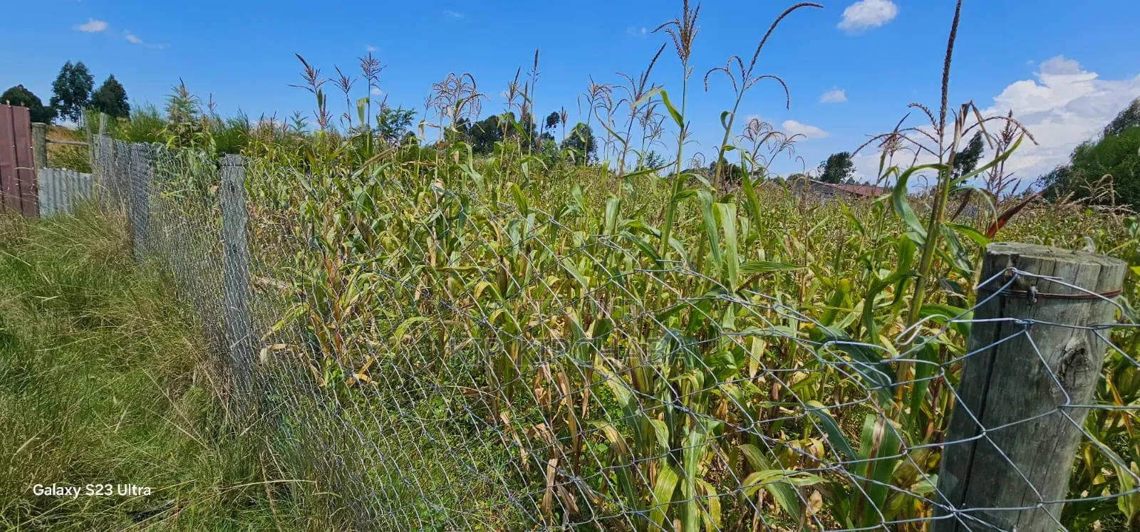 Prime Plot for Sale in Kuinet Eldoret in Kuinet