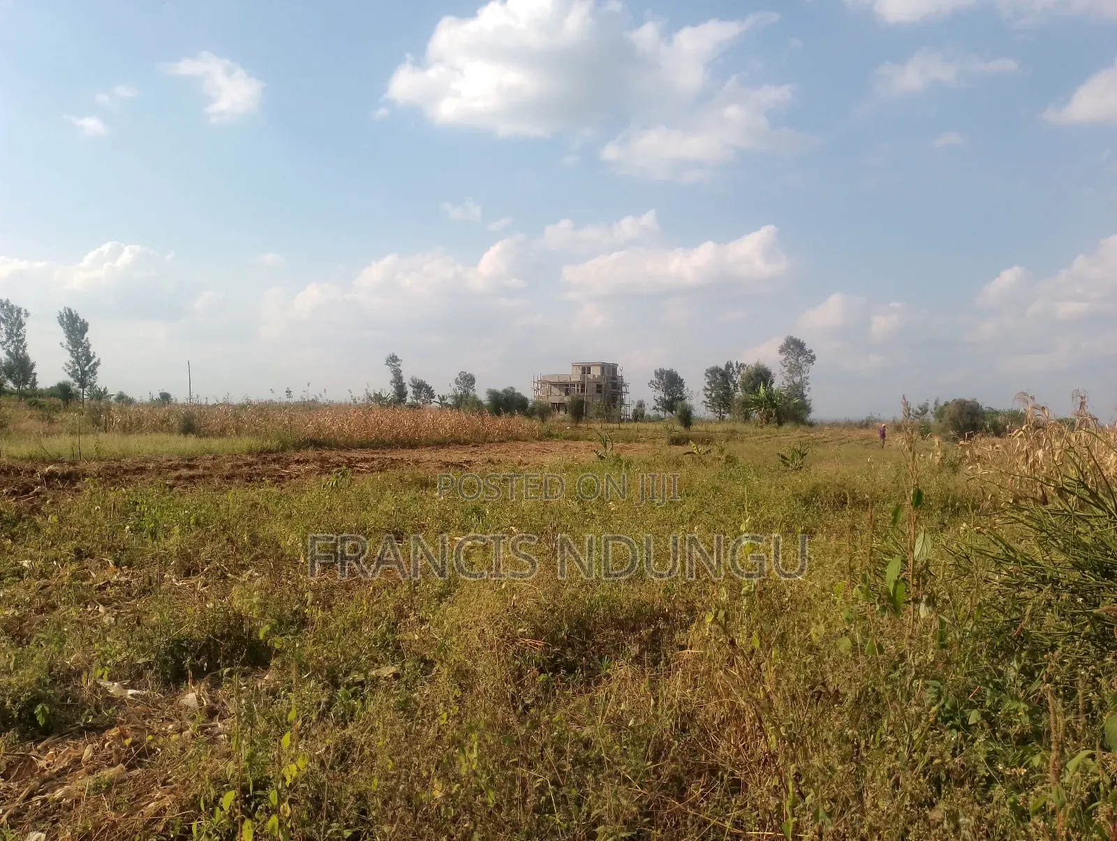 Residential Plots for Sale Anmer Estate Migaa Kiambu in Tinganga