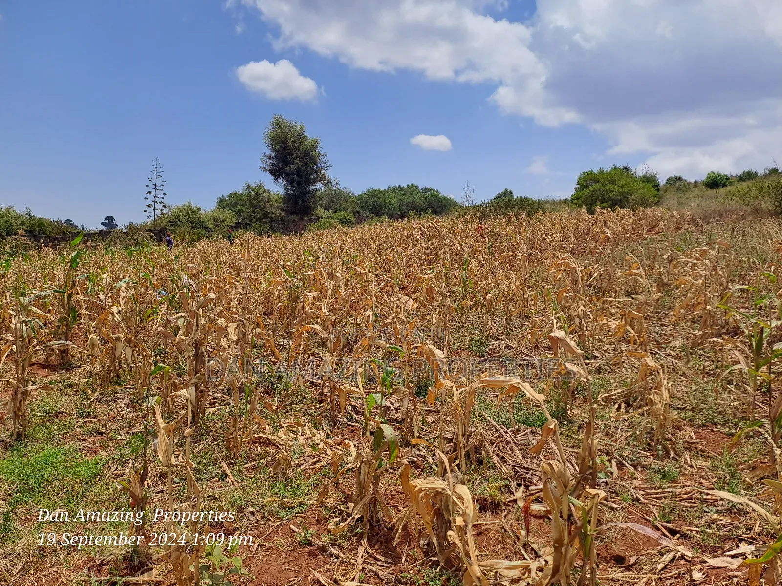 3.5 Acres in Ngong Kibiko for Sale as Block Touching Tarmac in Kibiku