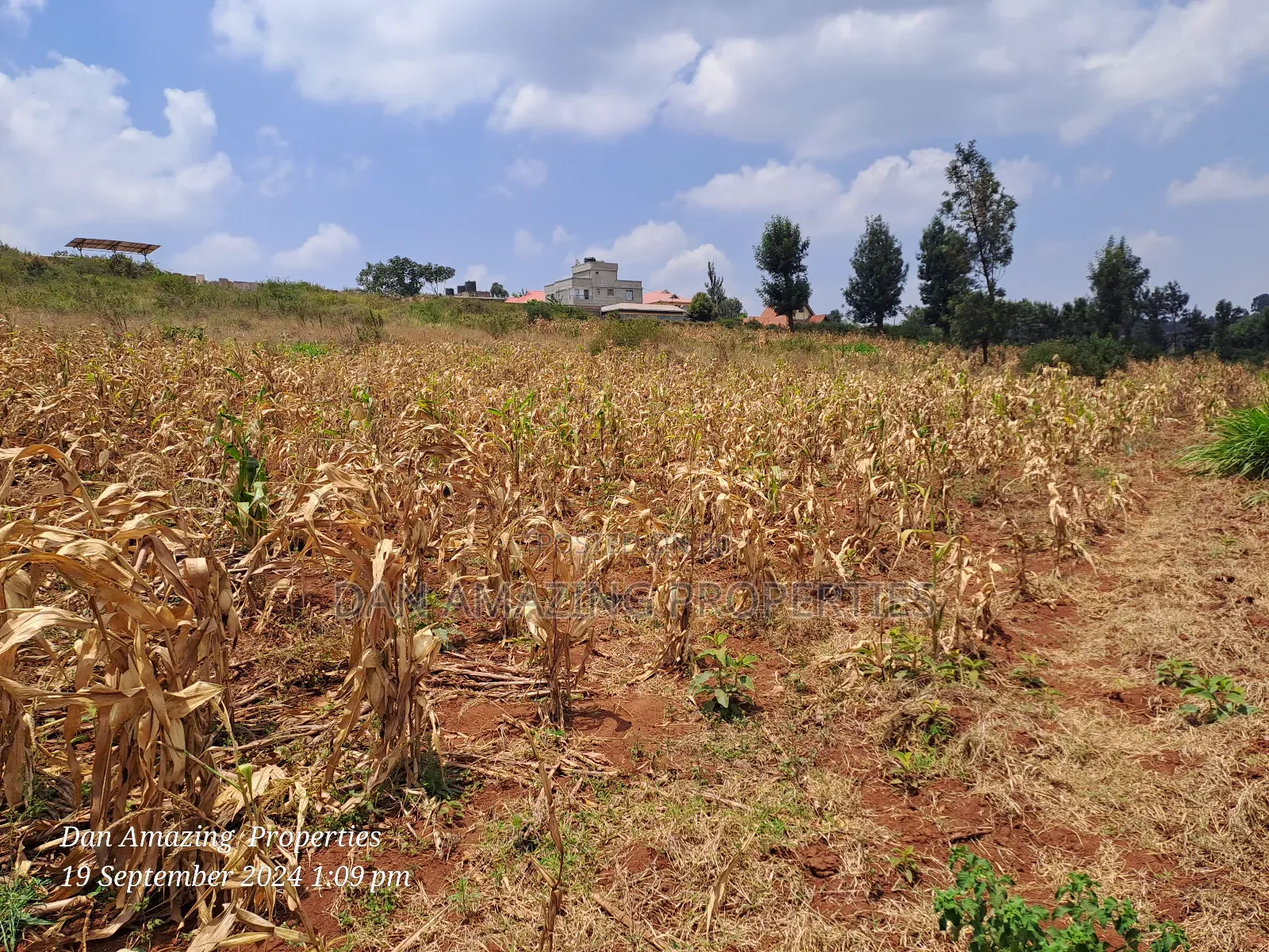 3.5 Acres in Ngong Kibiko for Sale as Block Touching Tarmac in Kibiku