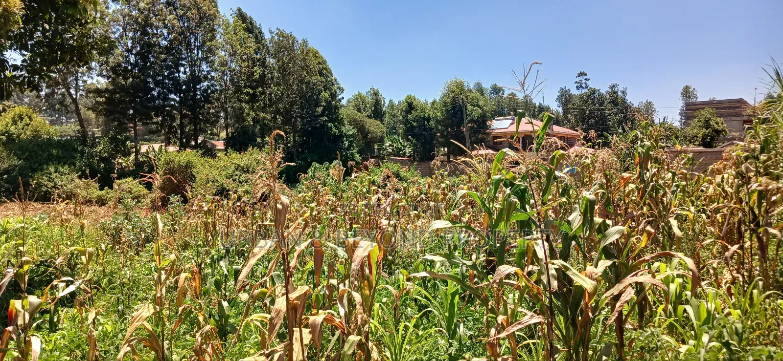 Prime Land for Sale-3⁄4 Acre -Gikambura in Kikuyu