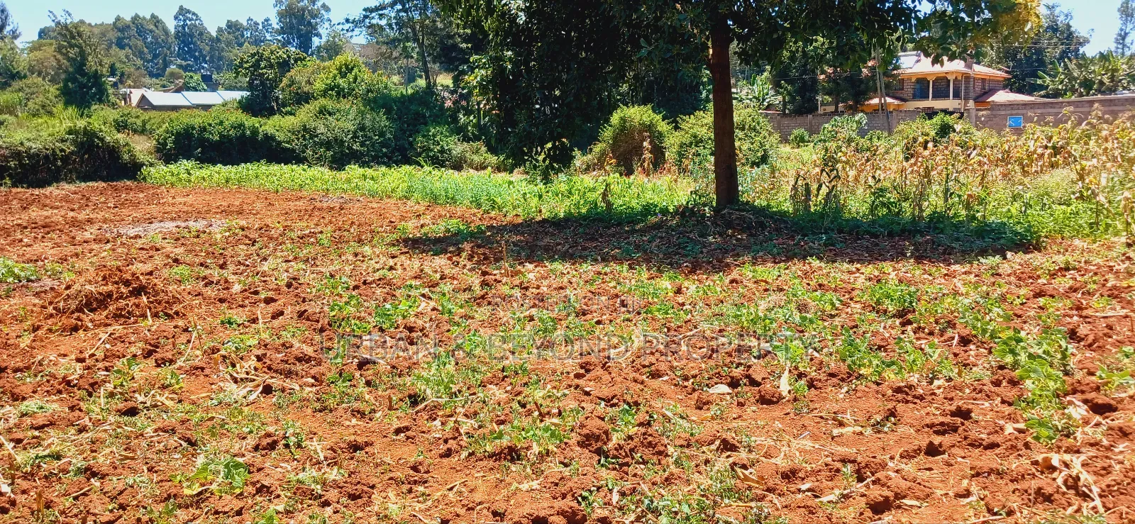 Prime Land for Sale-3⁄4 Acre -Gikambura in Kikuyu