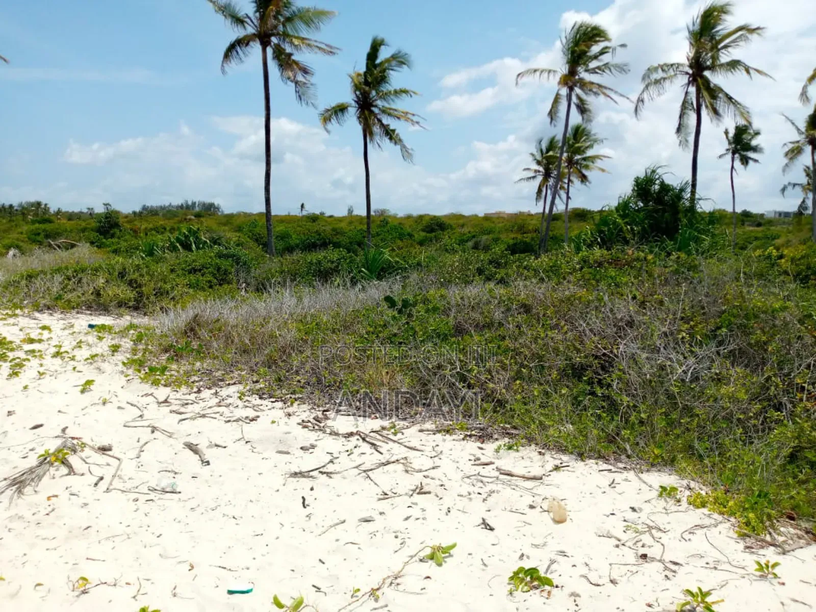 Beach Plots for Sale - Malindi in Malindi