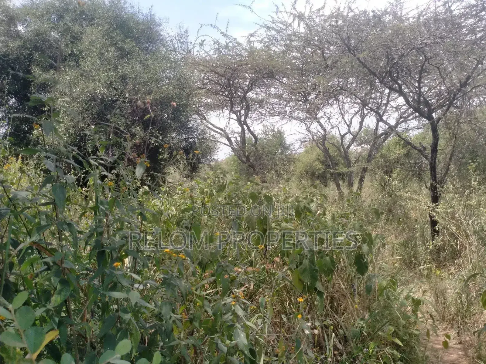 10.6 Acre Land for Sale in Salama 300m Off Mombasa Rd in Nzaui/Kilili/Kalamba