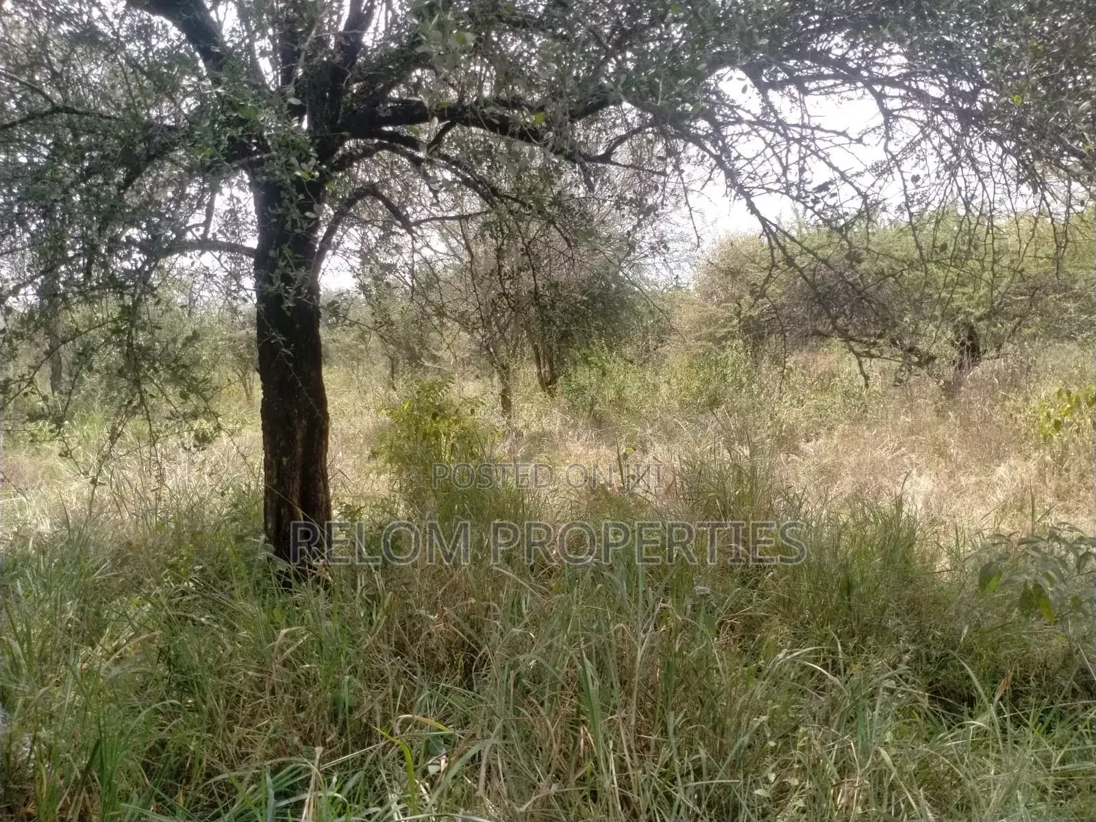 10.6 Acre Land for Sale in Salama 300m Off Mombasa Rd in Nzaui/Kilili/Kalamba