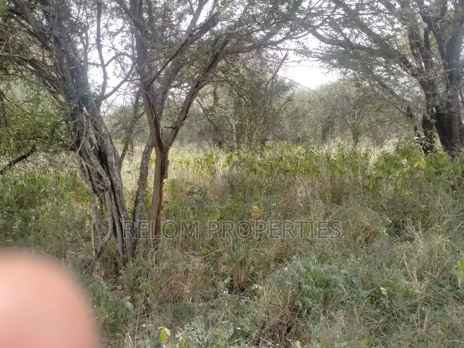 10.6 Acre Land for Sale in Salama 300m Off Mombasa Rd in Nzaui/Kilili/Kalamba