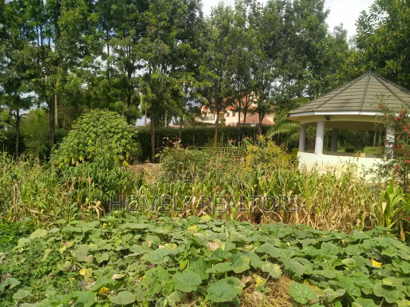 5bdrm Maisonette in Ngong, Maragara Road for sale in Ngong