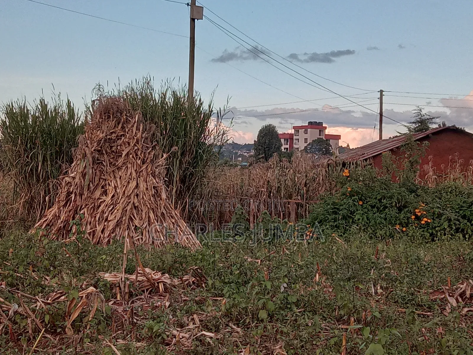 Eldoret Plots in Eldoret West