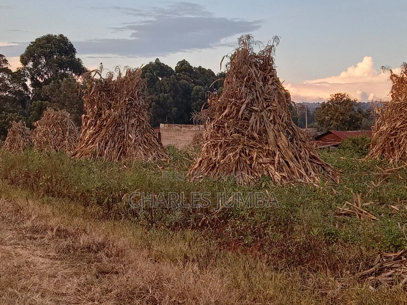 Eldoret Plots in Eldoret West
