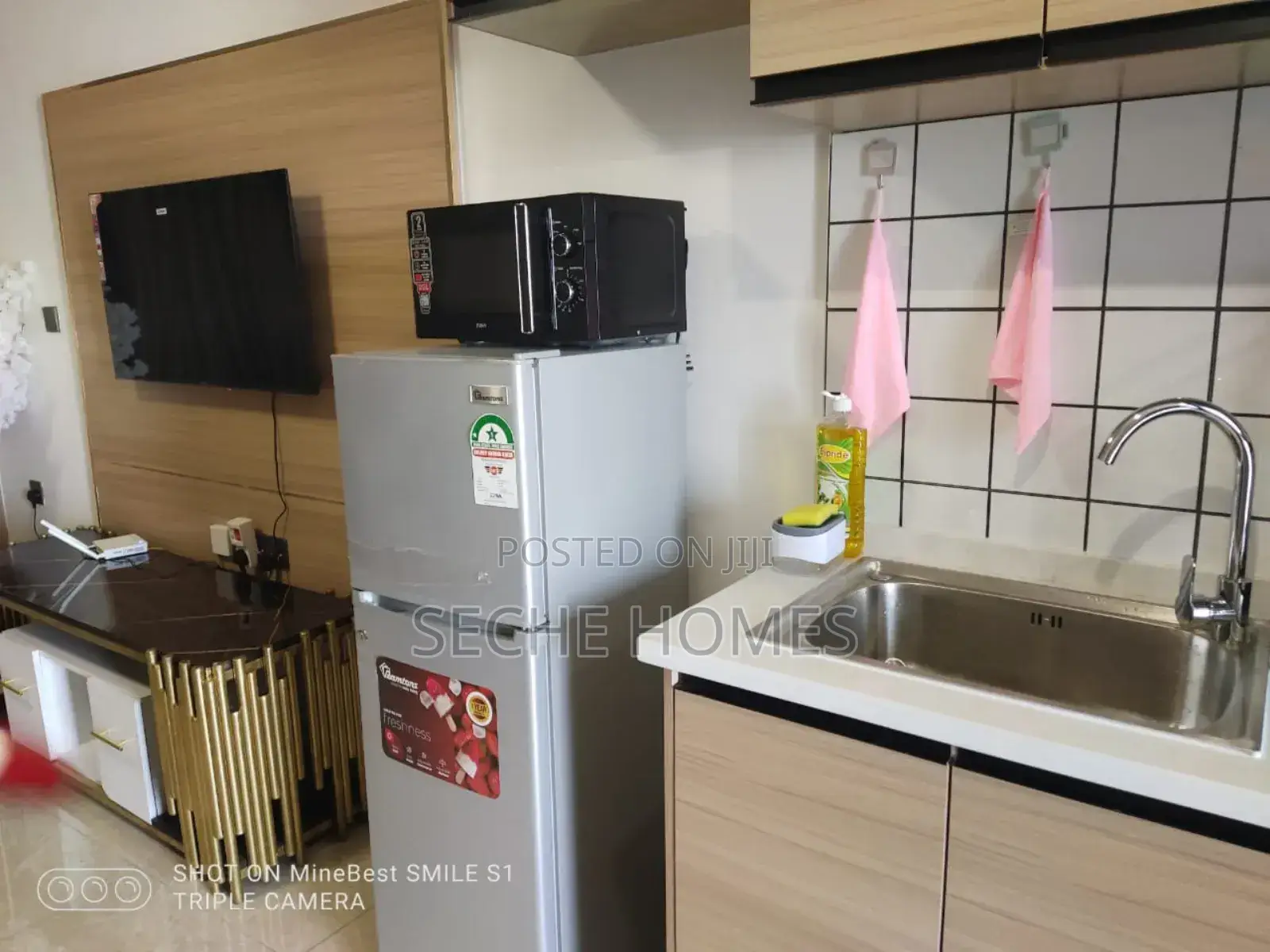 Furnished Studio in Ruaka