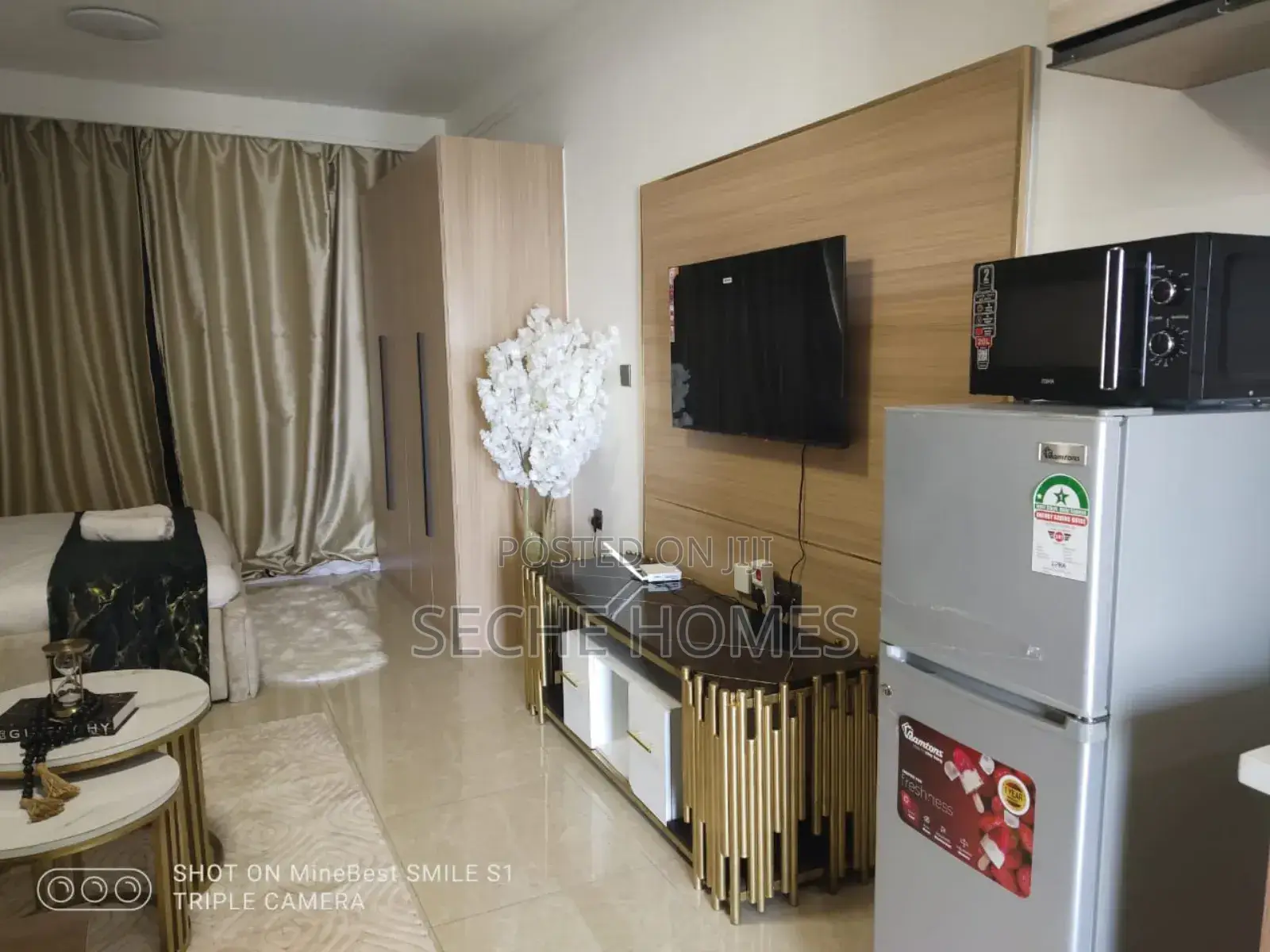 Furnished Studio in Ruaka