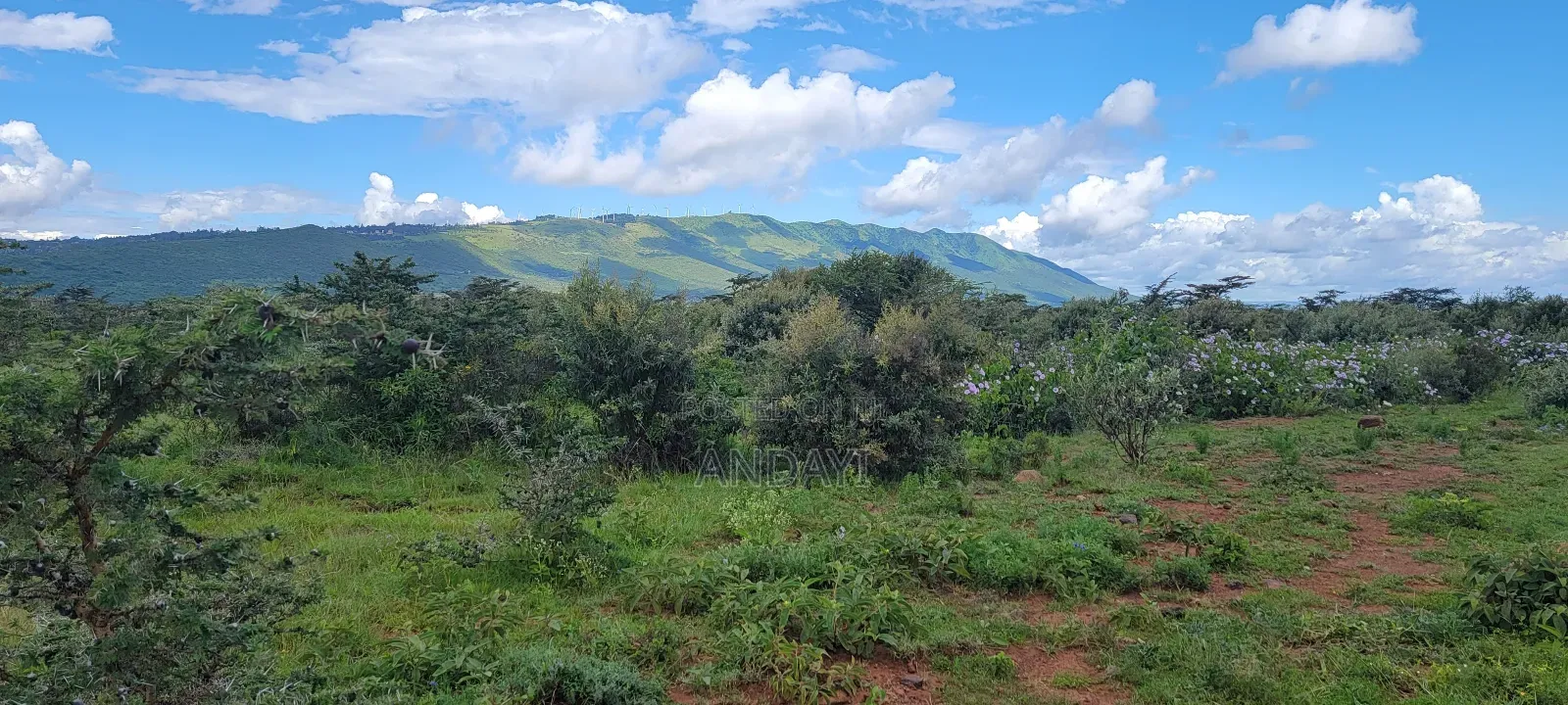 Prime Plots for Sale in Ngong, Kimuka in Ngong