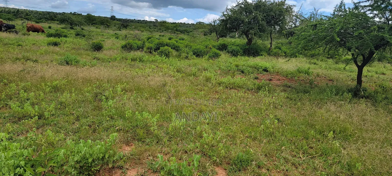 Prime Plots for Sale in Ngong, Kimuka in Ngong