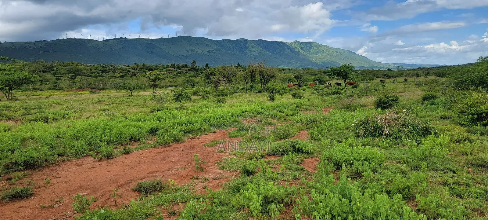 Prime Plots for Sale in Ngong, Kimuka in Ngong