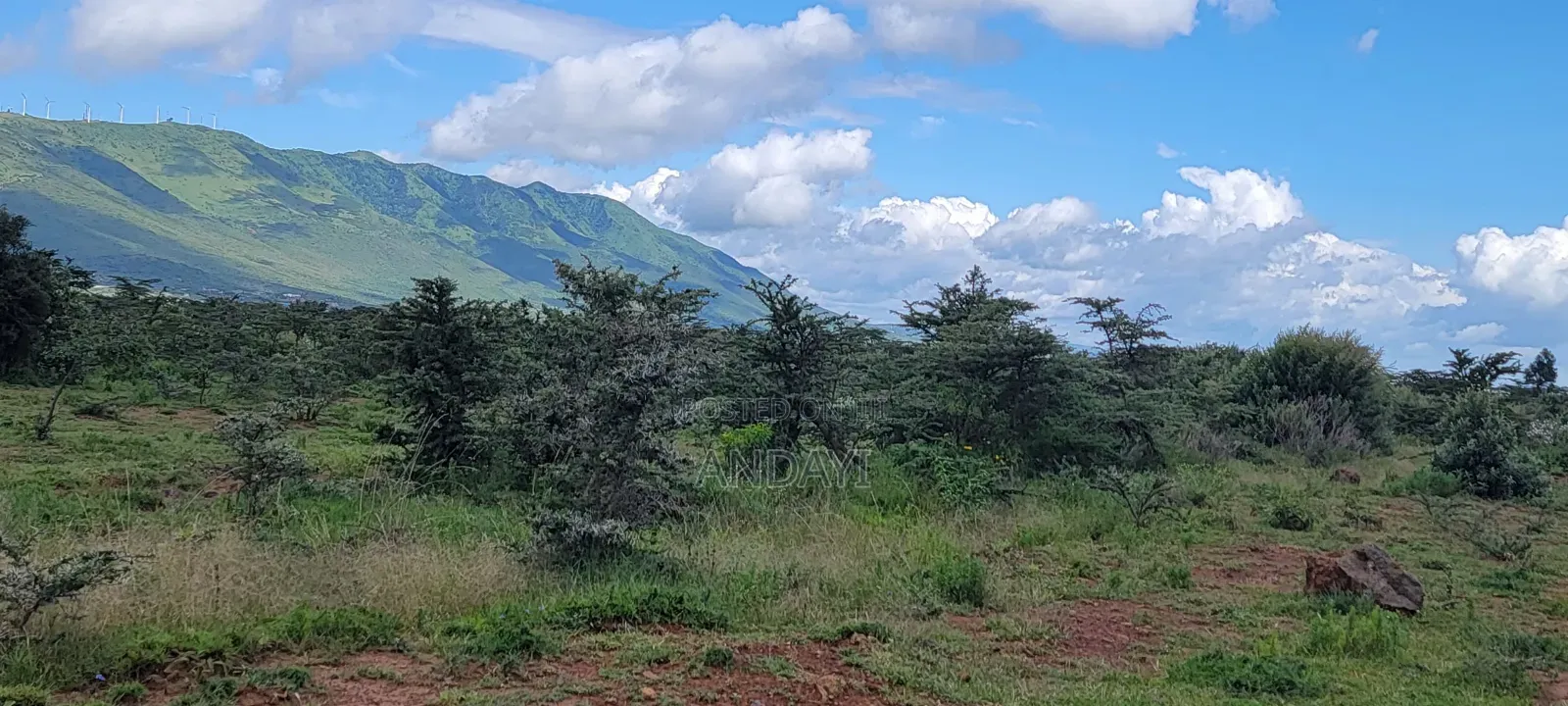 7 Acres Land for Sale in Ngong in Ngong