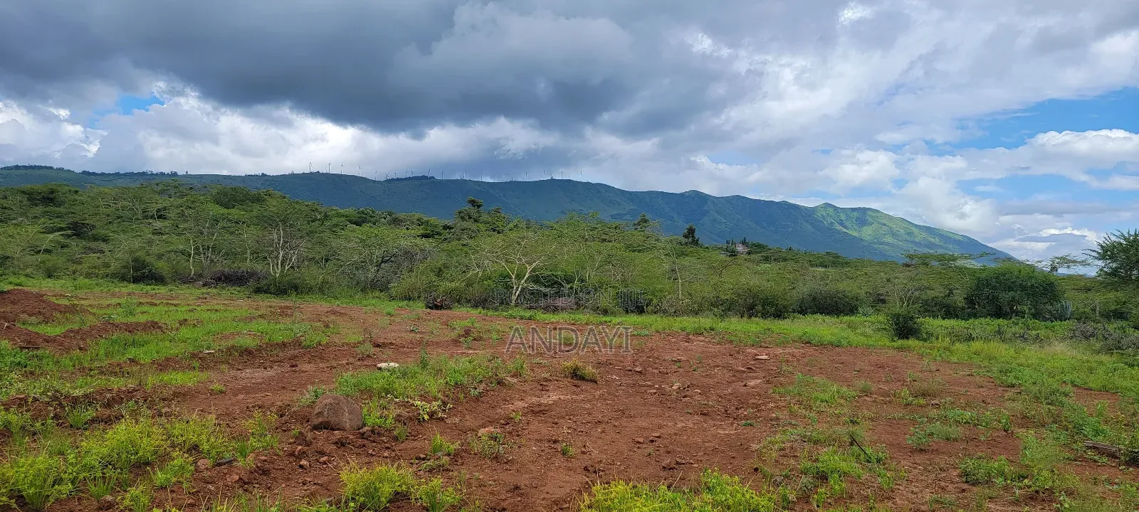 7 Acres Land for Sale in Ngong in Ngong