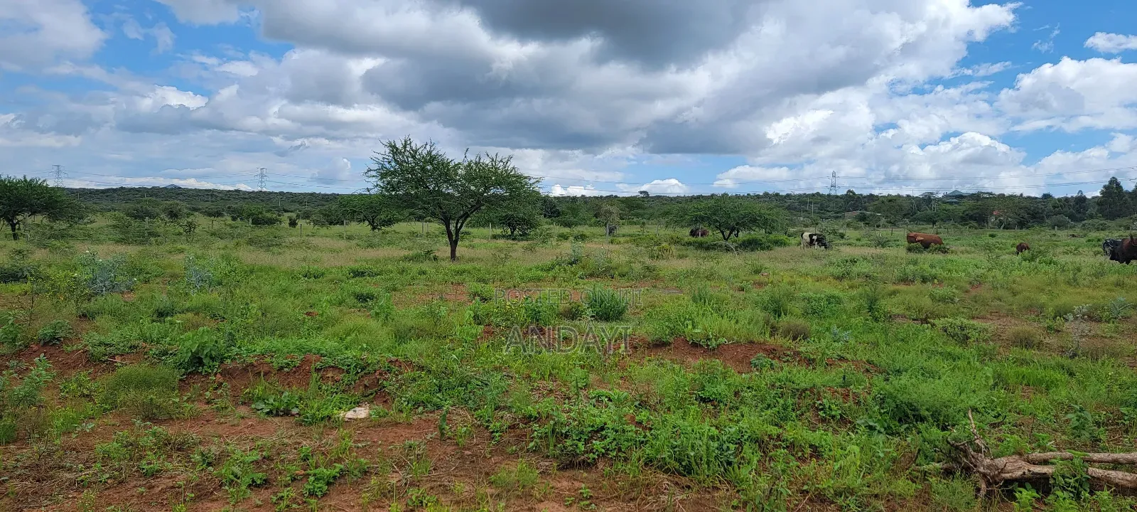 7 Acres Land for Sale in Ngong in Ngong