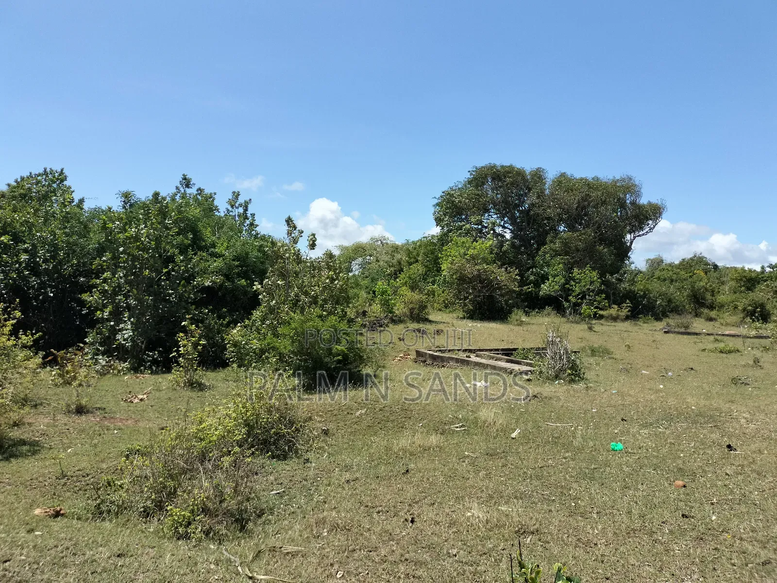Shimoni First Row Beach Property on the Market in Pongwe/Kikoneni