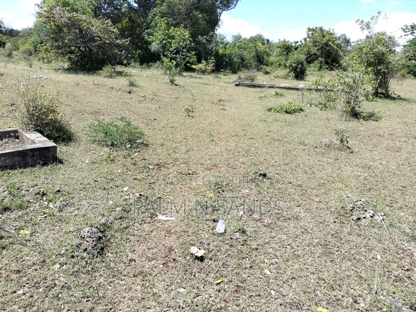 Shimoni First Row Beach Property on the Market in Pongwe/Kikoneni
