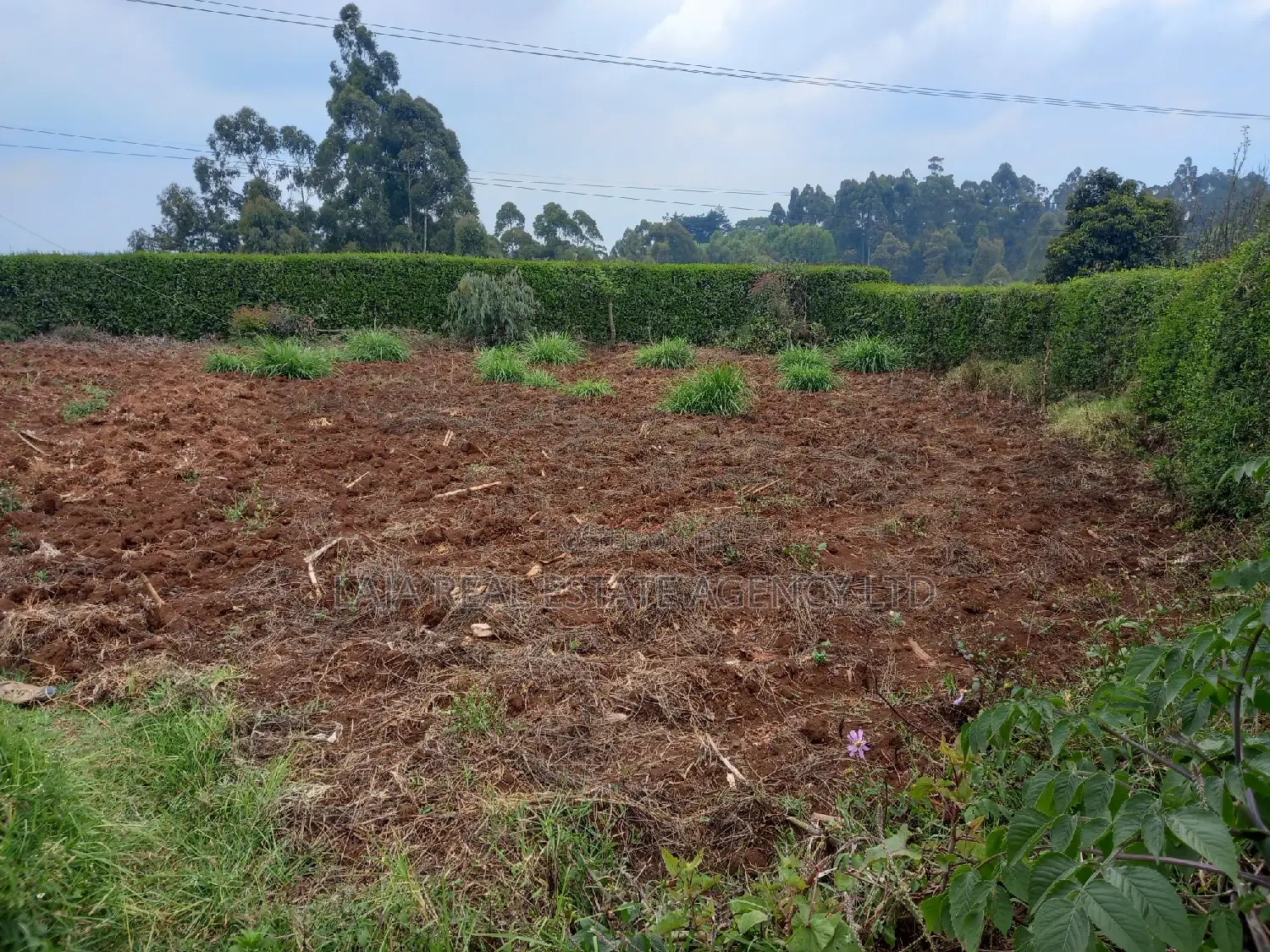 Limuru Plot for Sale in Limuru