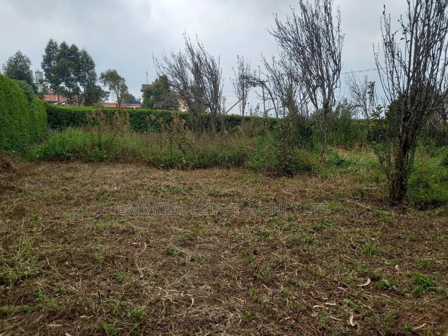 Limuru Plot for Sale in Limuru