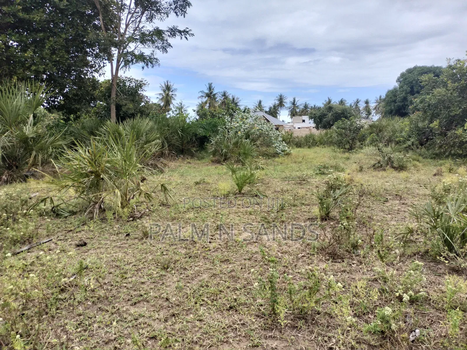 Quarter Acre Plots on a Quick Sale in Kinondo in Kinondo