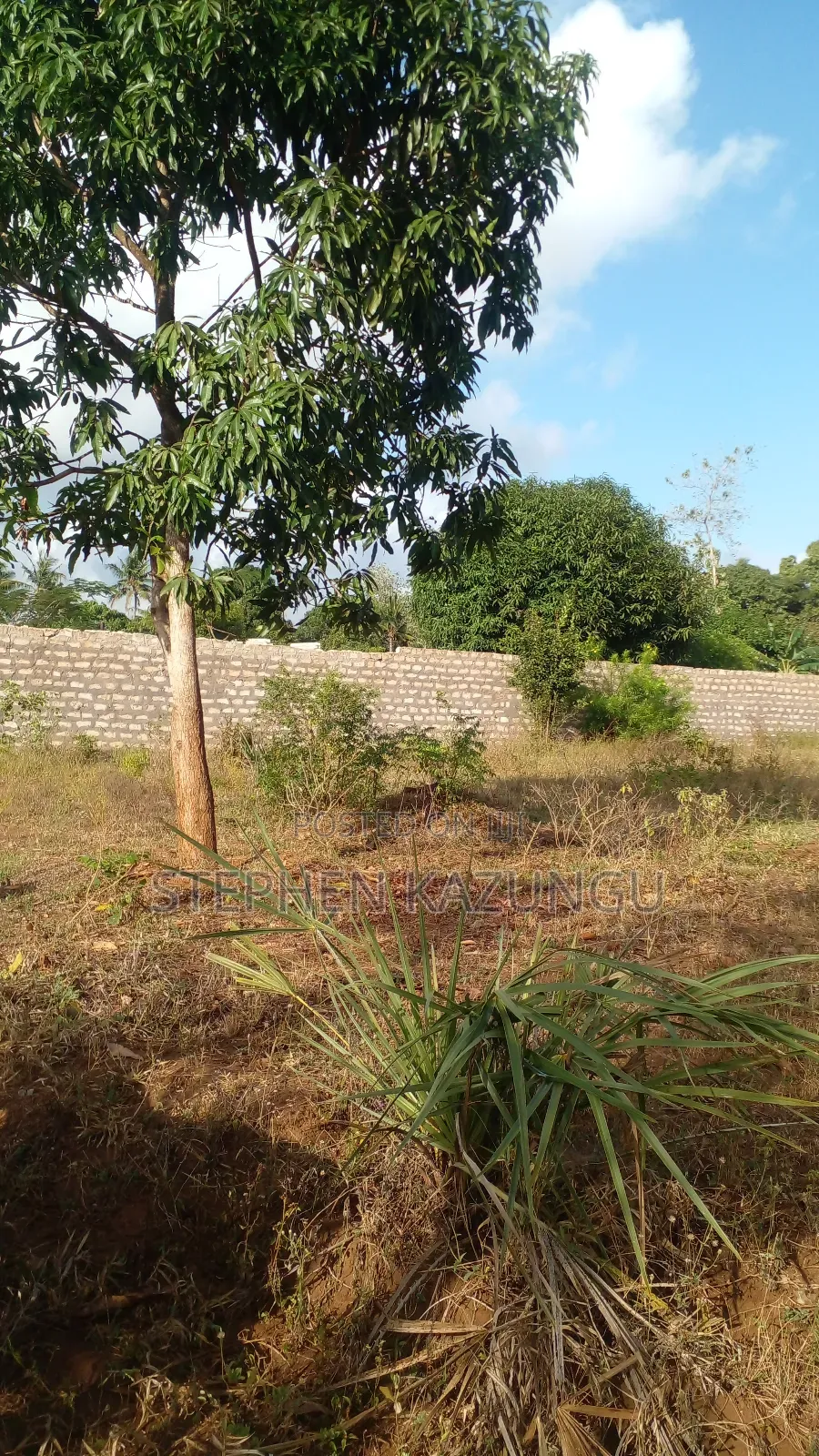 1/4 Acre Plot on Sale at Bongwe Area, in Ukunda. in Ukunda