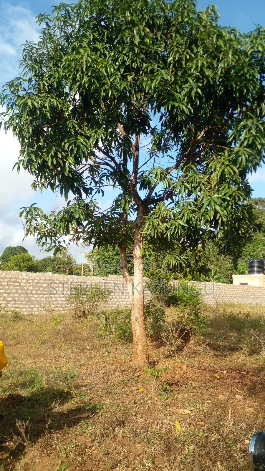 1/4 Acre Plot on Sale at Bongwe Area, in Ukunda. in Ukunda