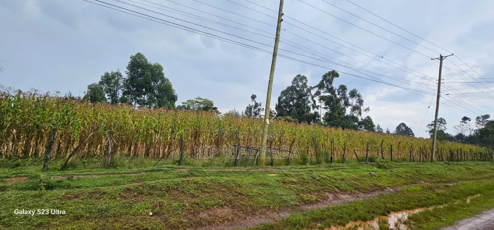 Prime 3⁄4 Plot for Sale in Royalton Eldoret in Racecourse