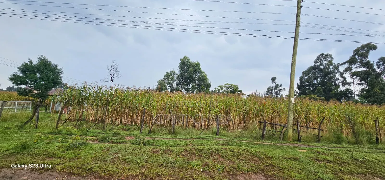 Prime 3⁄4 Plot for Sale in Royalton Eldoret in Racecourse