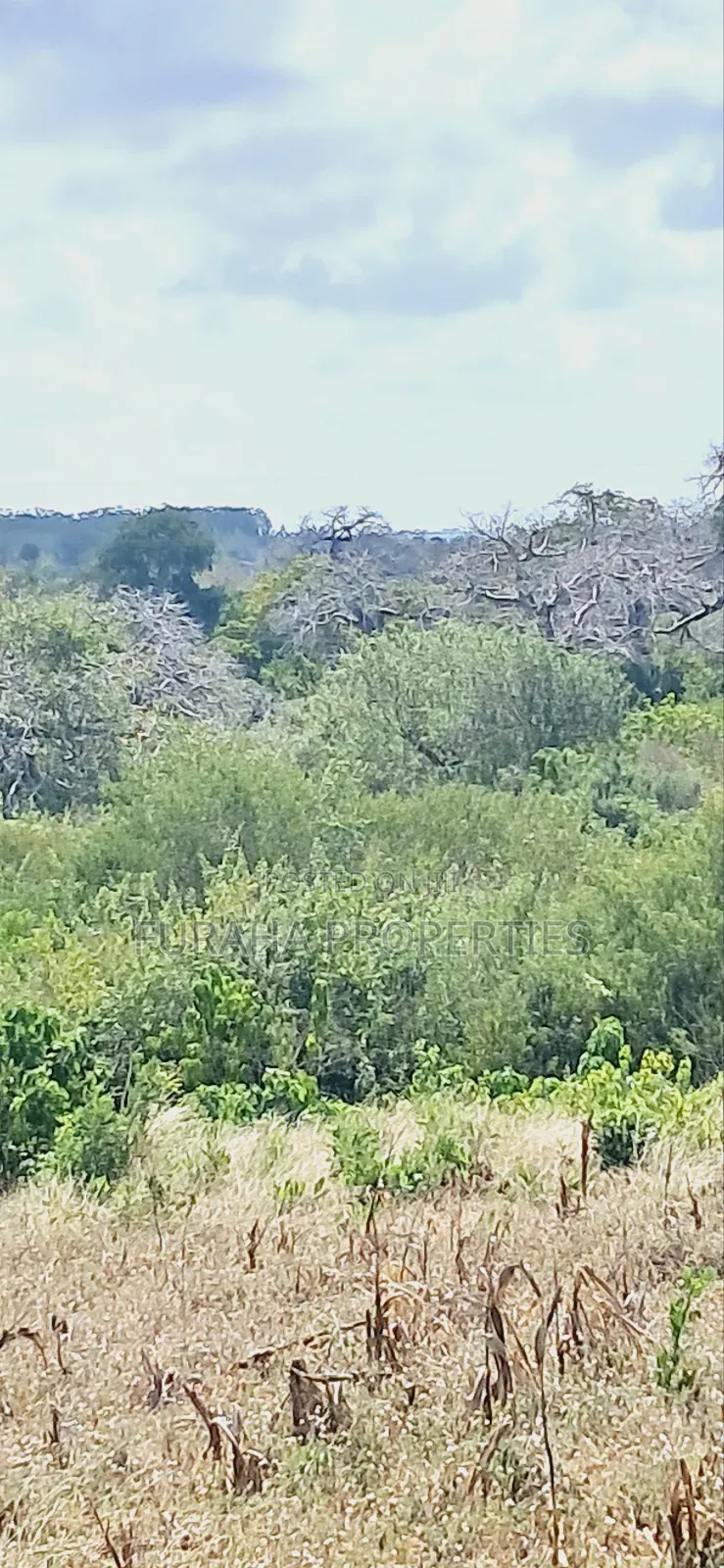 For Sale 180 Acres Kilifi. in Kilifi Town