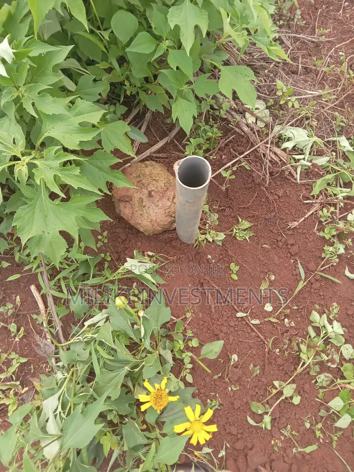 Quarter an Acre on Sale at Thika Greens Estate in Thika