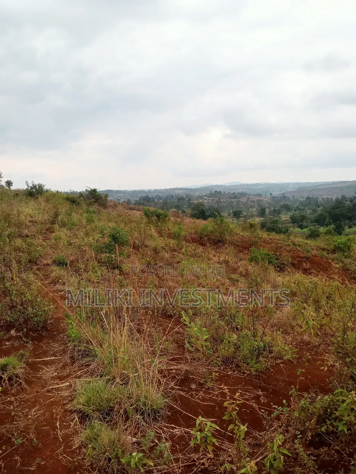 40 by 80 Plots on Sale at Kenol-Milimani Estate  in Kimorori/Wempa