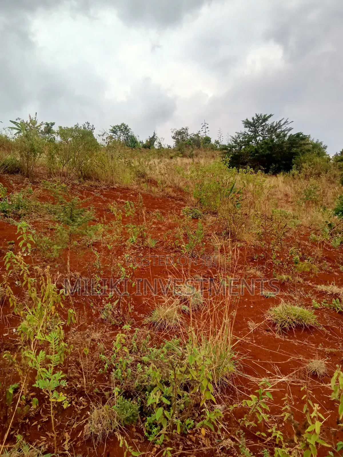 40 by 80 Plots on Sale at Kenol-Milimani Estate  in Kimorori/Wempa