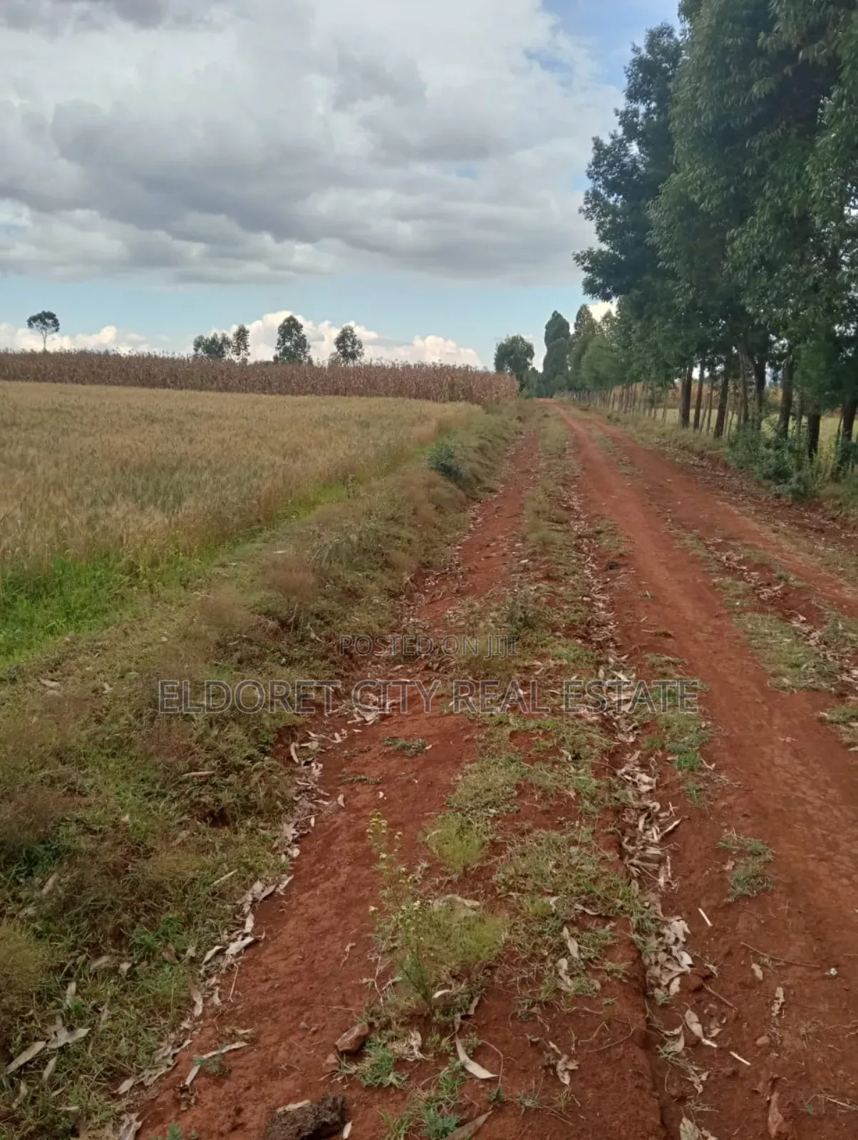 4 Acres Kaprobu 3.5km From Tarmac in Kapsuswa