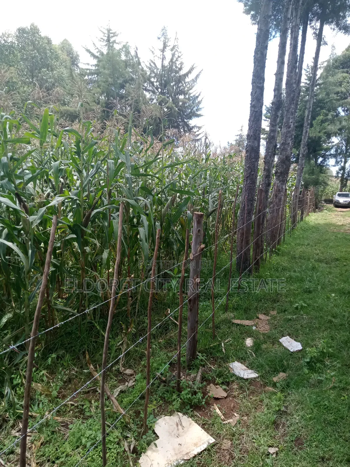 1/4 Plot Before Ilula Center With Title in Kapsuswa